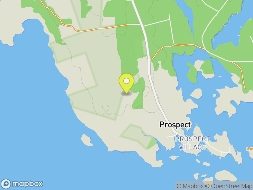 Prospect