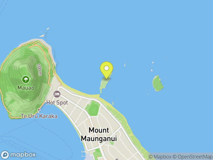 Moturiki Island