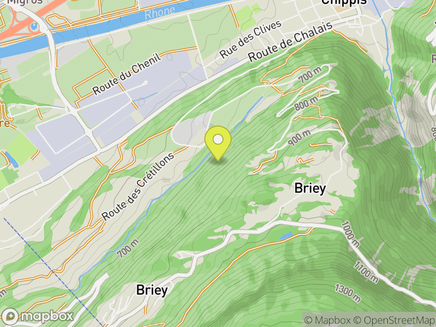Briey