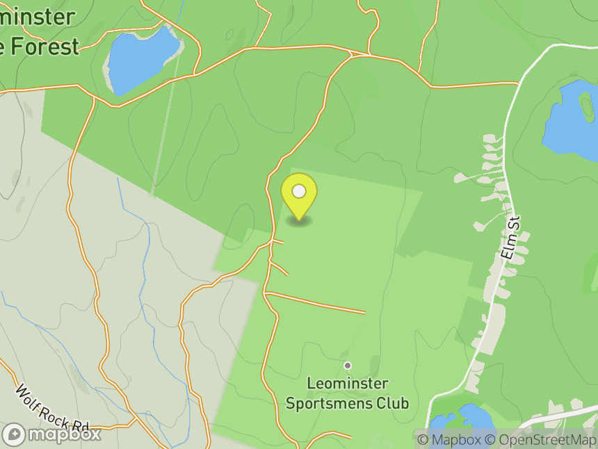 Leominster Area