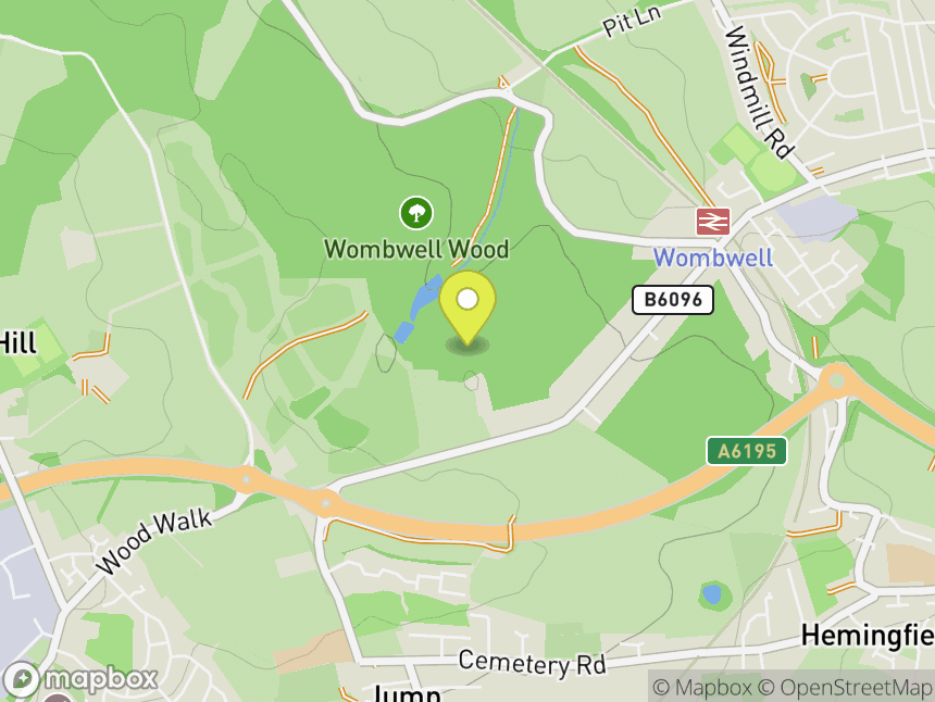 Wombwell Wood