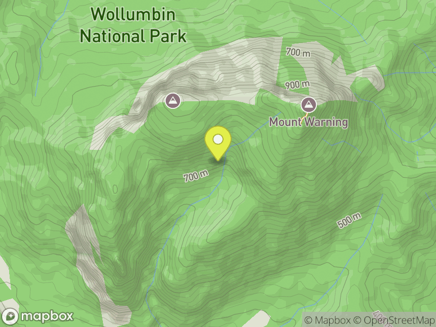 Mt. Warning Wollumbin Shield