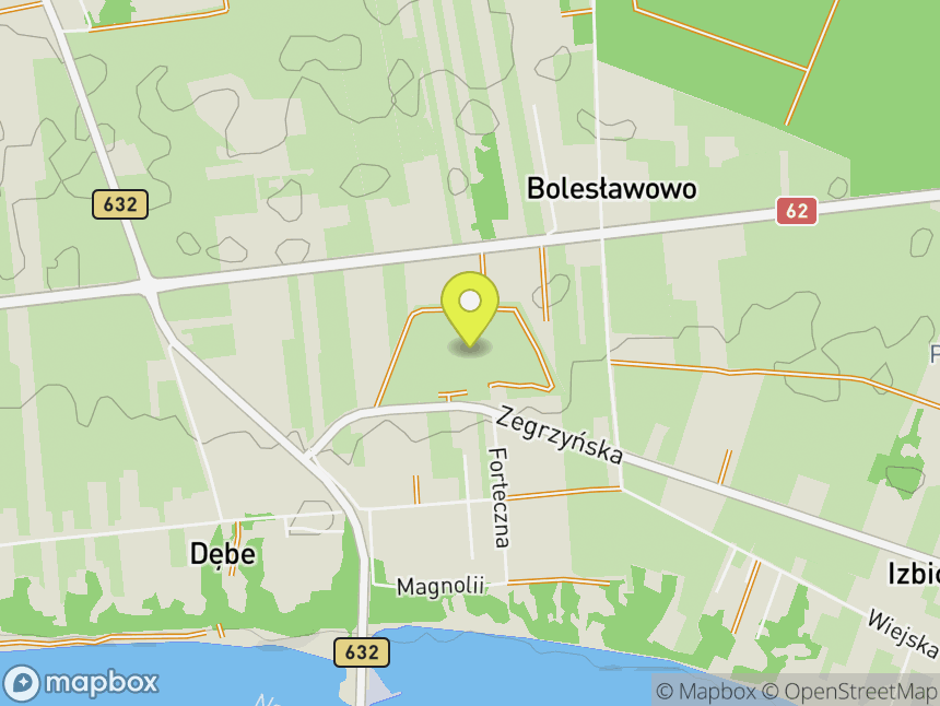 Fort Dębe