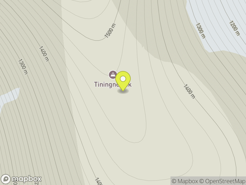 Tiningnertok