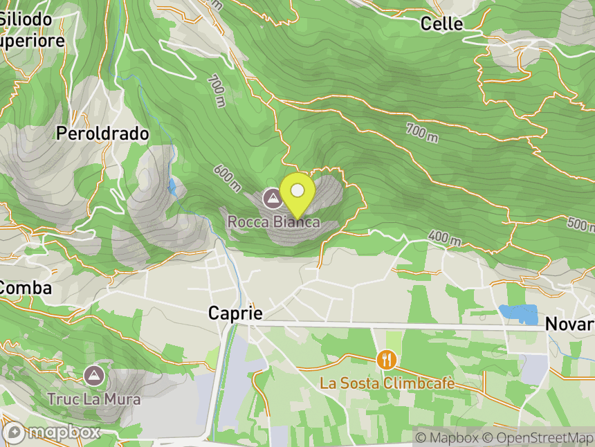Paretina dell'Edera