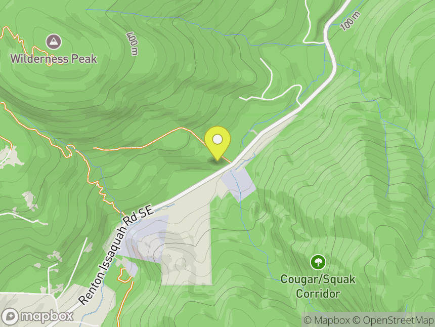 Cougar Mountain Climbing