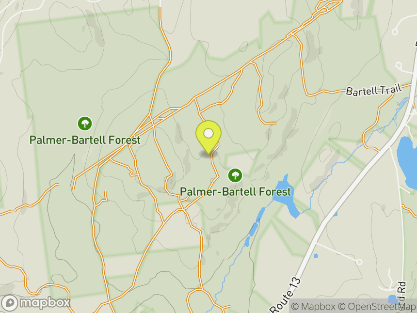 Palmer Bartell Forest
