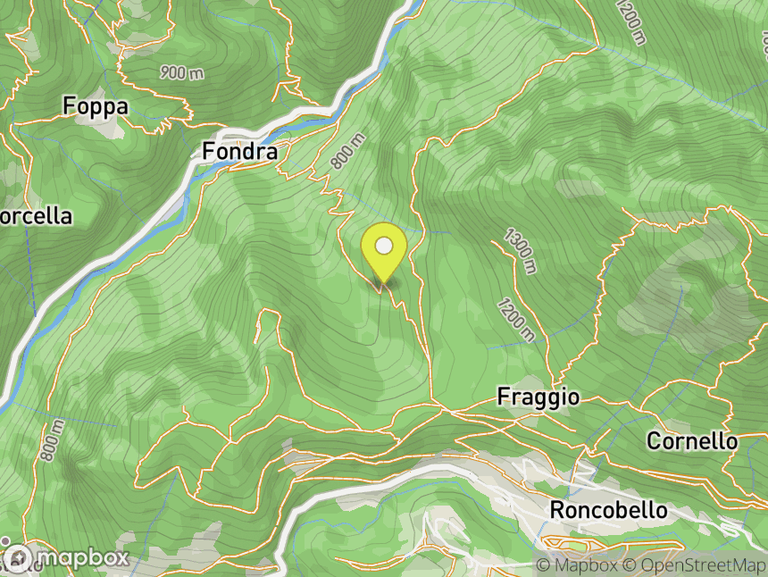 Roncobello