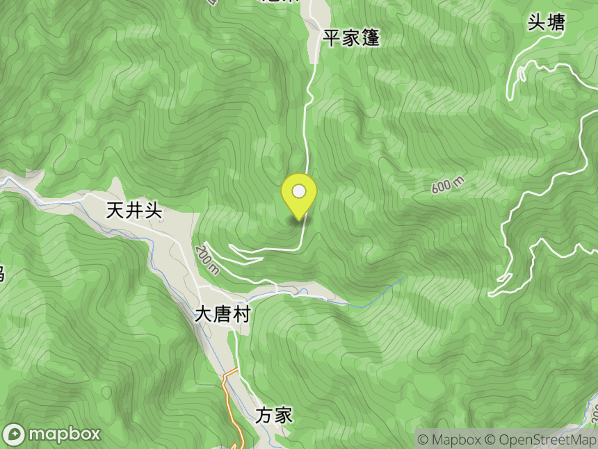 大唐村