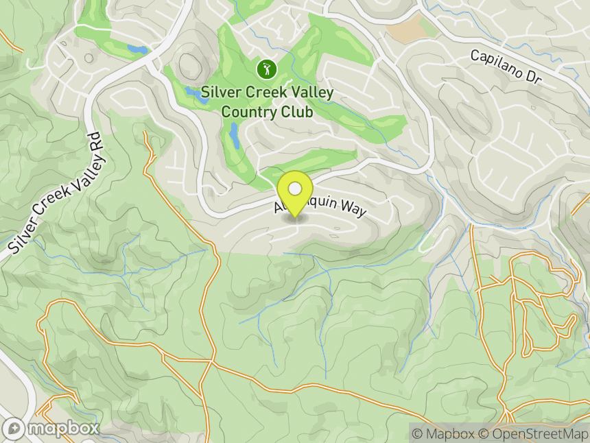 Silver Creek/Cloudburst Meadows Jct