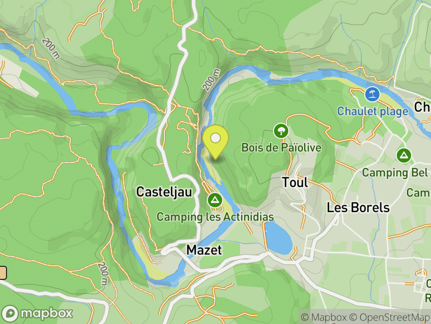 Les Actinidias