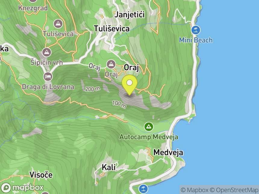 Medveja