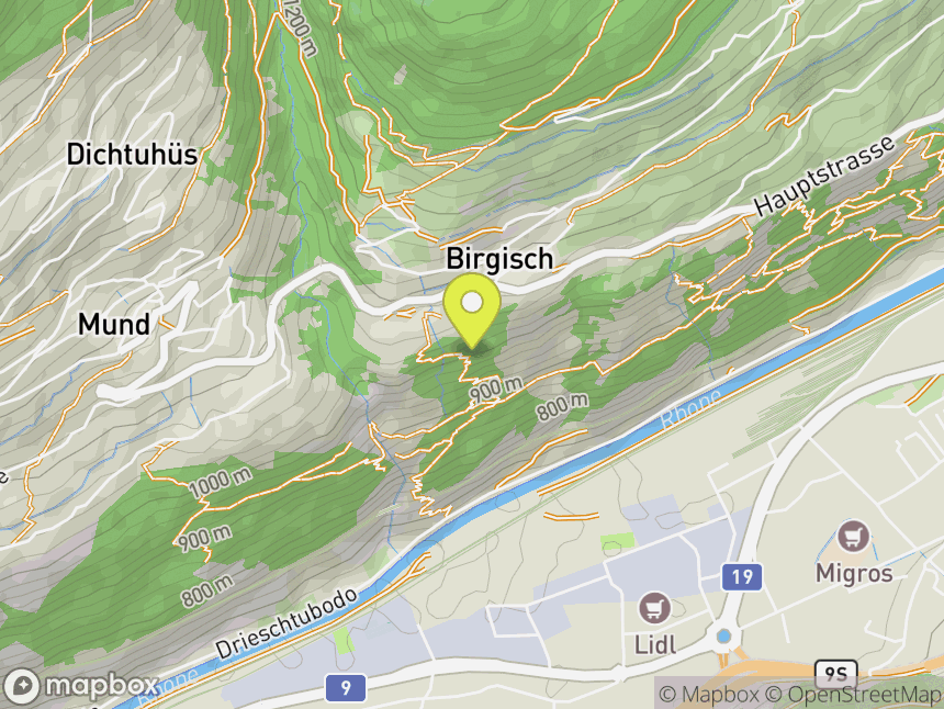Birgisch