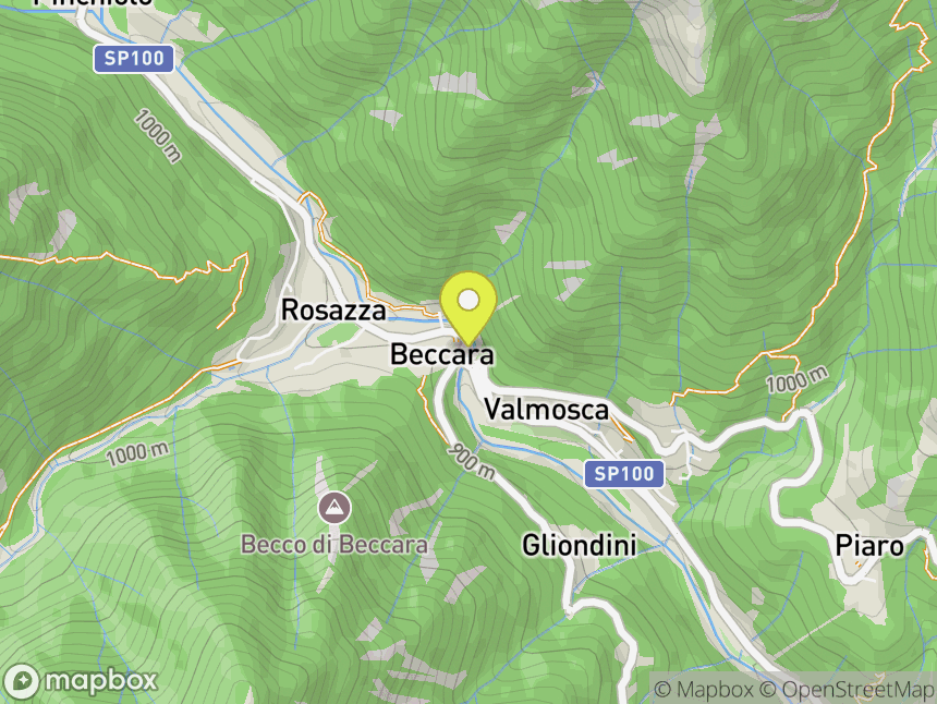 Palestra Federico Rosazza