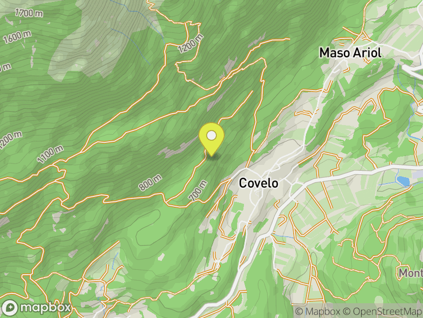Covelo