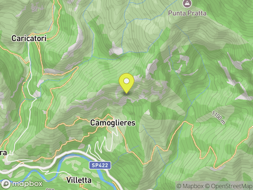 Camoglieres