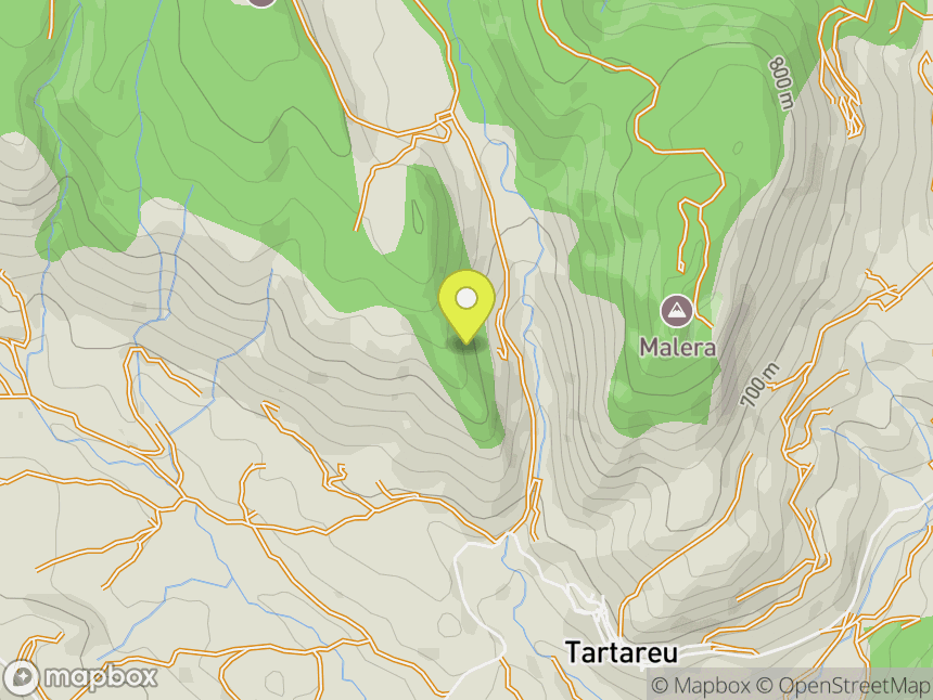 Tartareu