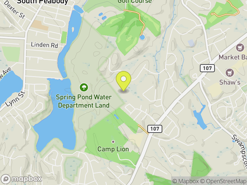 Spring Pond Woods
