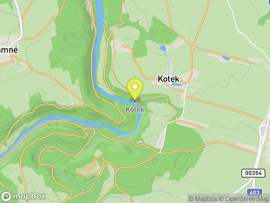 Kotek