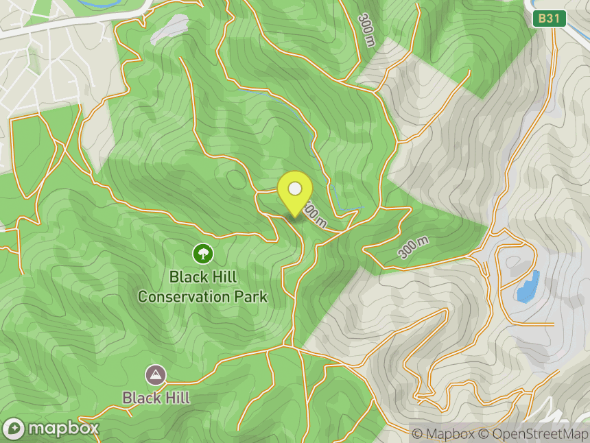 Black Hill