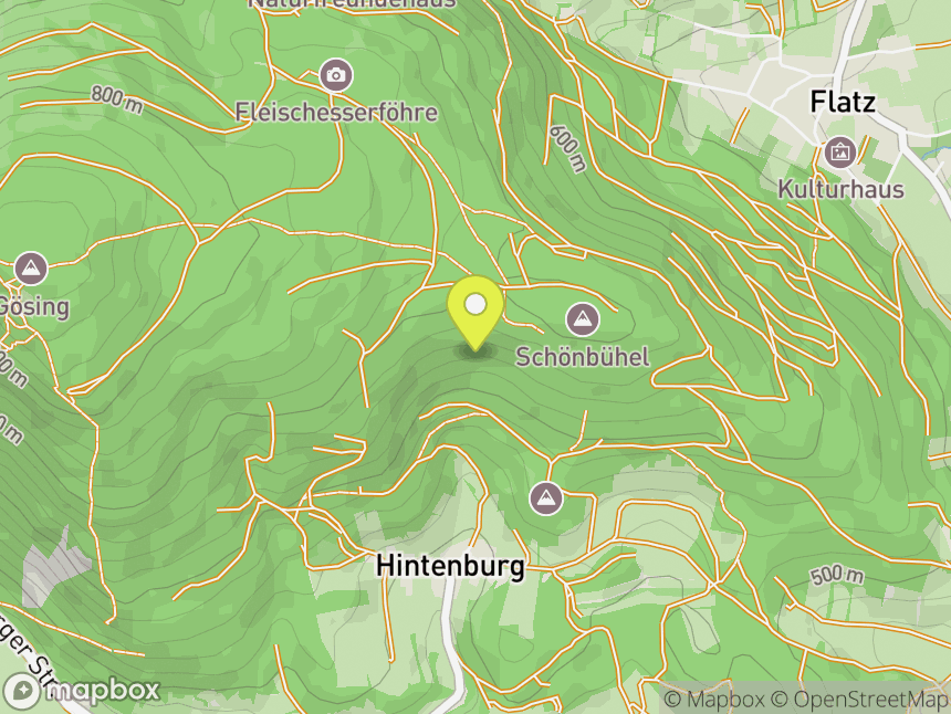 Hintenburg