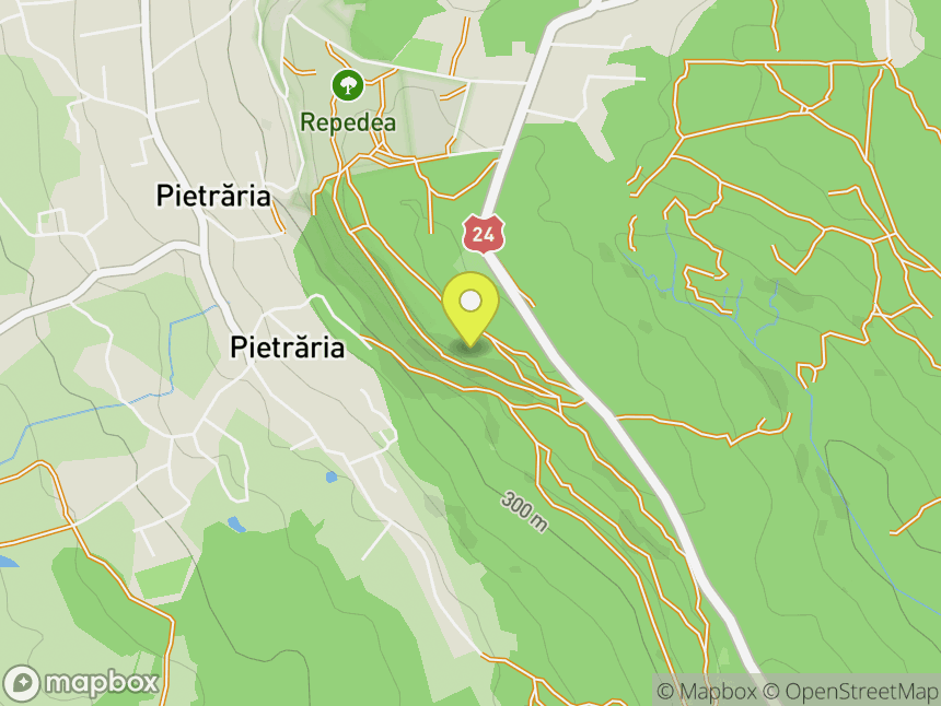 Poligonul 3