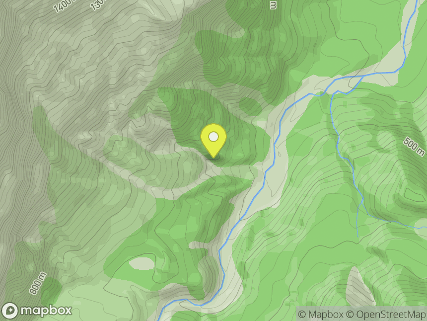 Mount Aspiring National Park