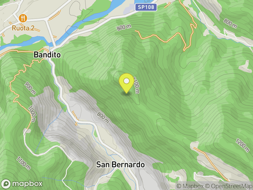Roaschia