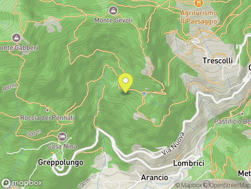 Il Bacino