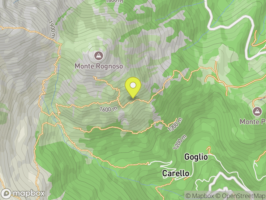 Il coniglio