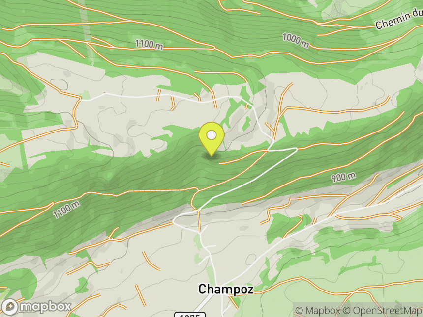 Champoz