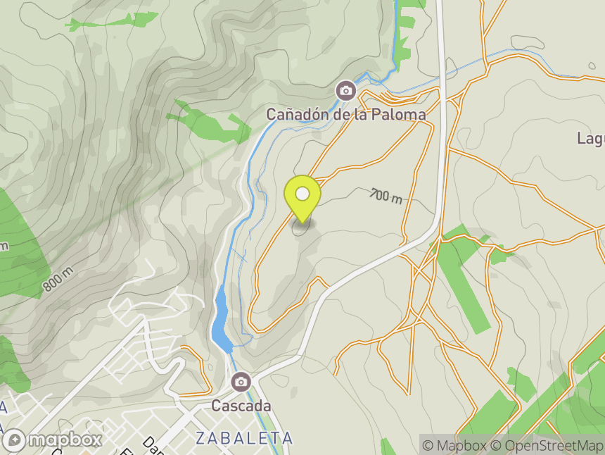 La Palestra