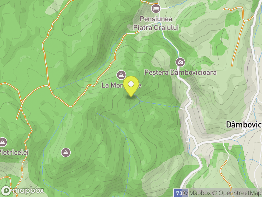 Valea Dâmbovicioarei
