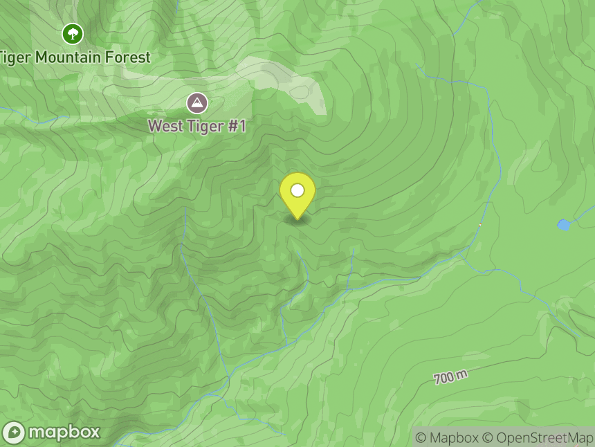 Lone rock