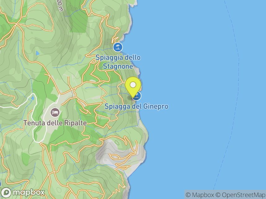 Ginepro