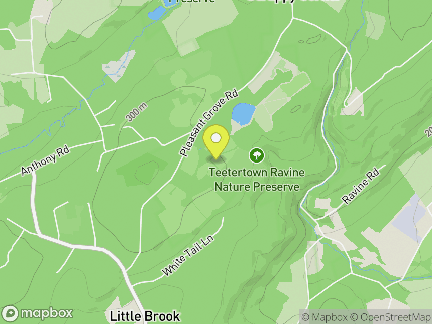 Teetertown Ravine Nature Preserve