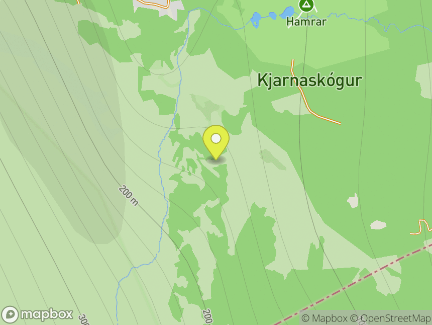 Kjarni