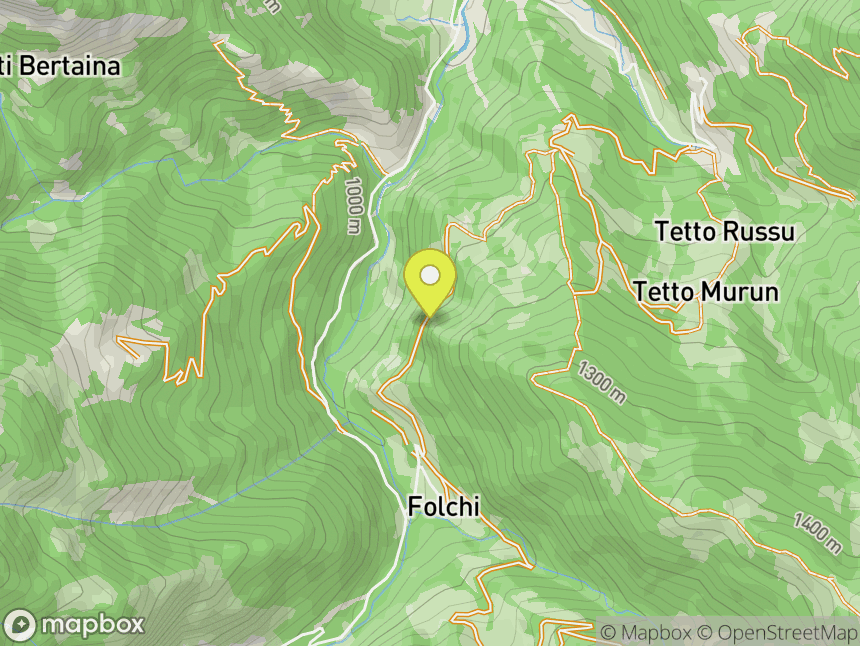 Folchi