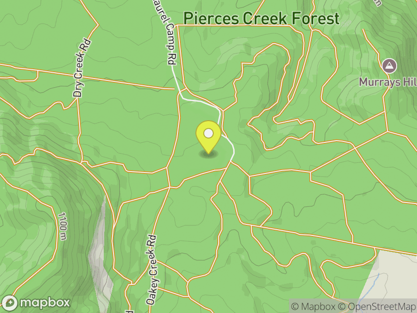 Pierce's Creek