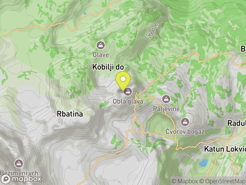 Obla glava