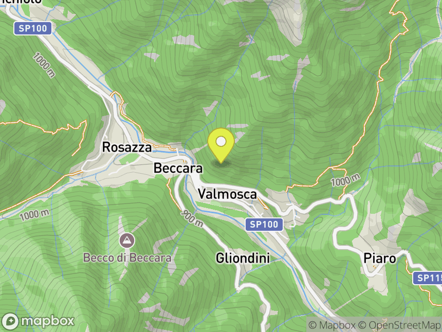 Placca Picchio