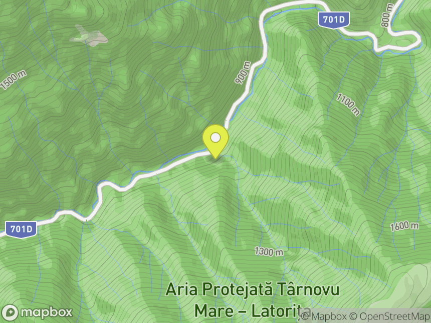 Pădurea Latorița