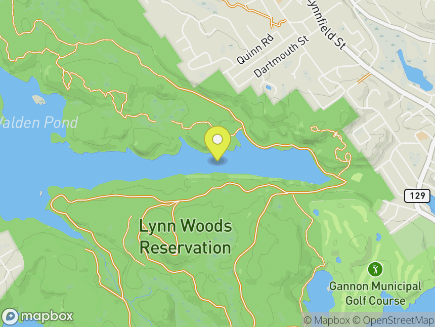 Lynn Woods