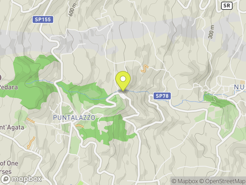 Puntalazzo