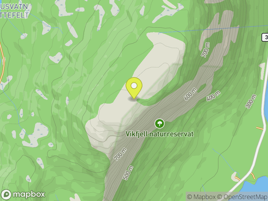 Vikfjell