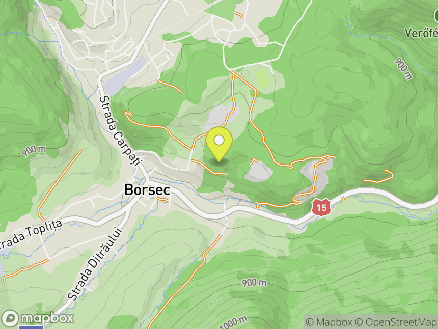 Borsec