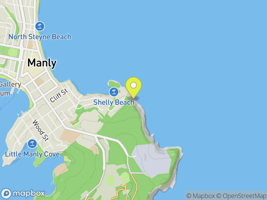 Shelly Beach Headland
