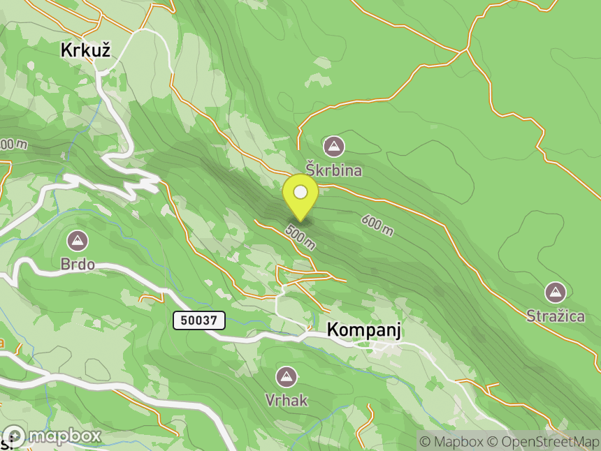 Kompanj