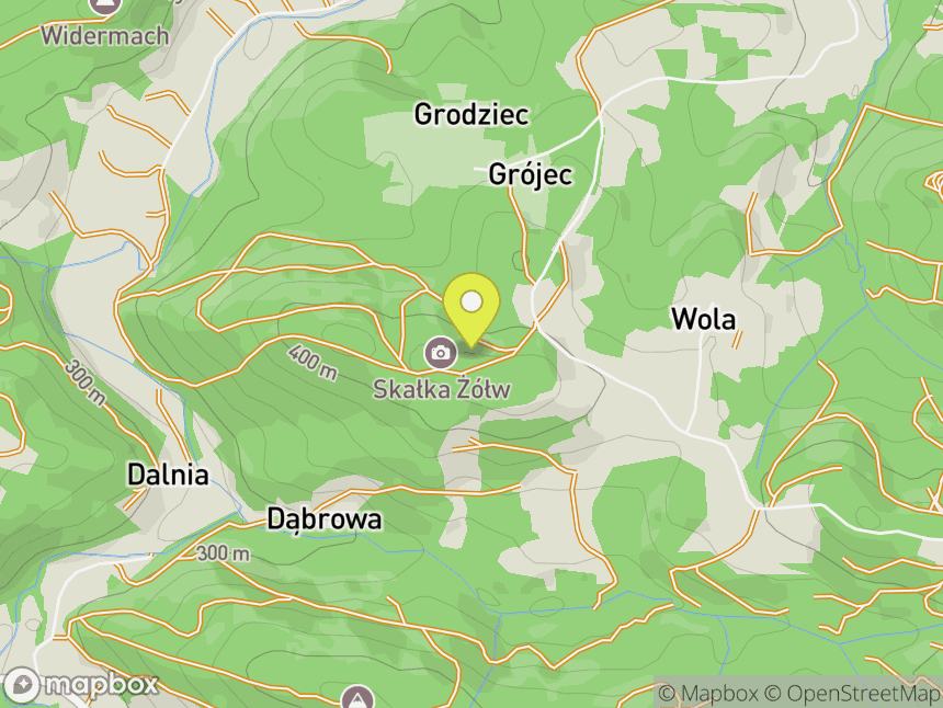 Kamień Żółw w Woli Tarnawskiej