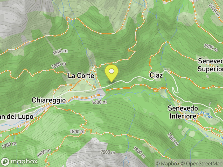Pineta Di Chiareggio